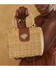 BOLSA-LIZ